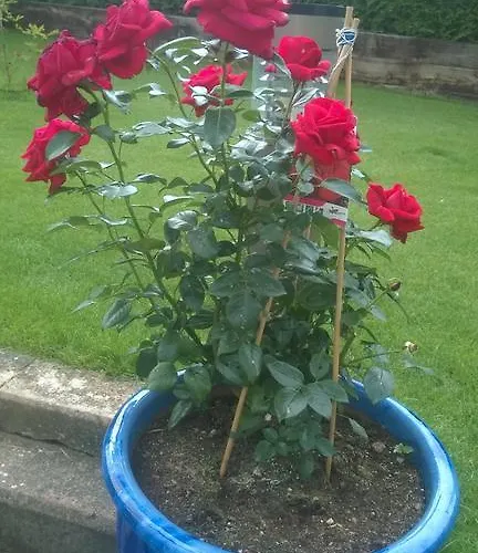 Margarethe Penzion 3*