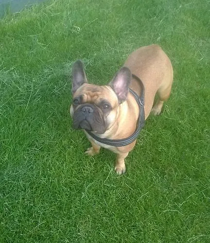 Margarethe Biedenkopf